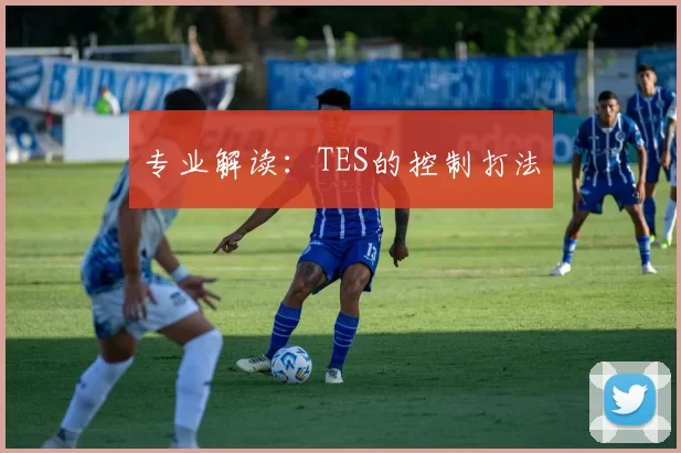 专业解读：TES的控制打法
