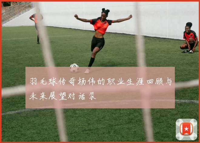 羽毛球传奇杨伟的职业生涯回顾与未来展望对话录